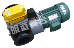 雙出軸普通型電機(jī) 雙出軸普通型電機(jī)